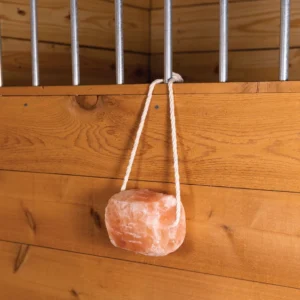 Animal Lick Salt
