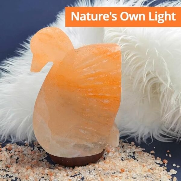 Swan Shaped Salt Rock Lamp - Image 3