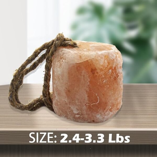 Himalayan Animal Lick Salt With Rope - Image 2
