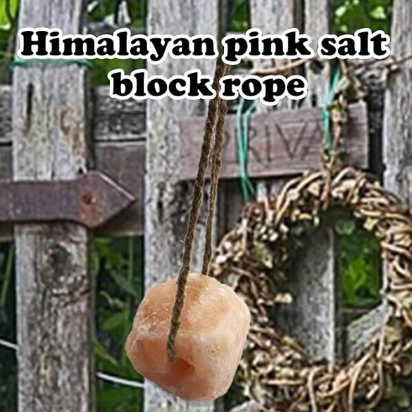 Himalayan Animal Lick Salt With Rope - Image 4