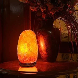 Lamp with Dimmer Switch